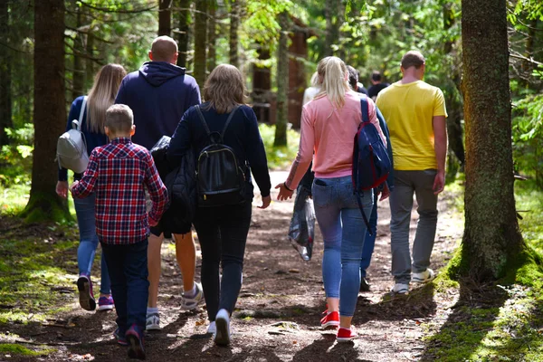 Bir grup turist bir orman yolu boyunca yürüyor