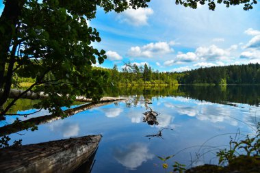 Yaz ormanında manzara mavi göl