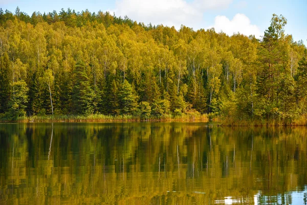 Počátek podzimu v lese u jezera — Stock fotografie