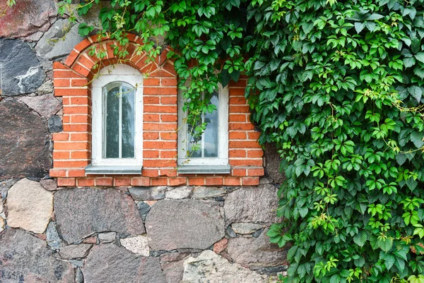 Gammal stenmur med fönster och gröna vinstockar — Stockfoto