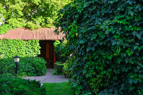 Guest house among green bushes