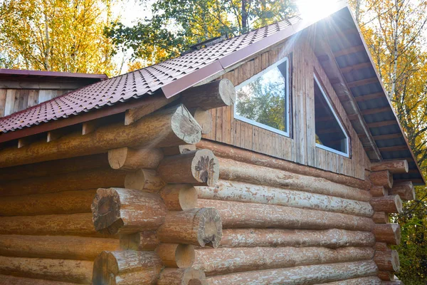 Wooden log house in the forest