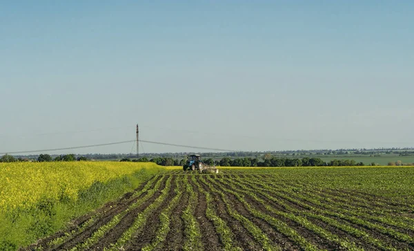 Vista Del Campo Agrícola Con Día —  Fotos de Stock