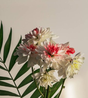 taze beyaz çiçek buketi yakın 