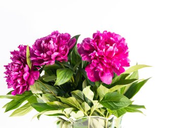 taze şakayık çiçek buketi yakın 