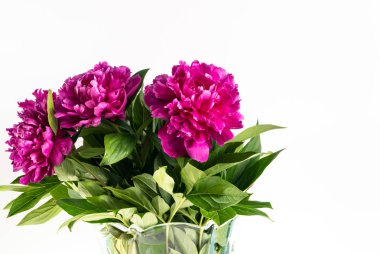 taze şakayık çiçek buketi yakın 