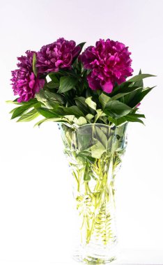 taze şakayık çiçek buketi yakın 