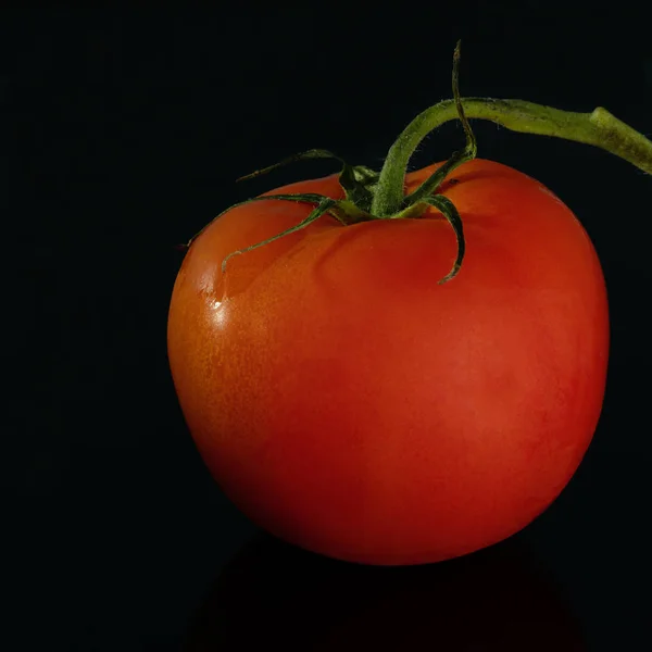 Close Van Rode Rijpe Tomaat Kopieer Ruimte — Stockfoto