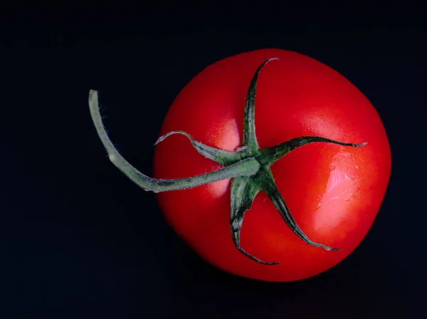 Nahaufnahme Von Roten Reifen Tomaten Kopierraum — Stockfoto