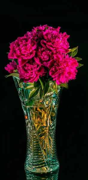 Κοντινό Στο Φρέσκο Λουλούδια Παιώνια Ανθοδέσμη — Φωτογραφία Αρχείου