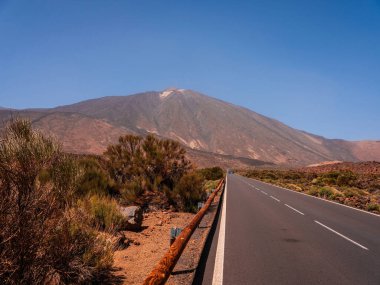 Tenerife 'de arka planda bir sürü kaya ve güzel dağ manzarası olan bir yer. Tenerife 'nin volkanik manzaraları