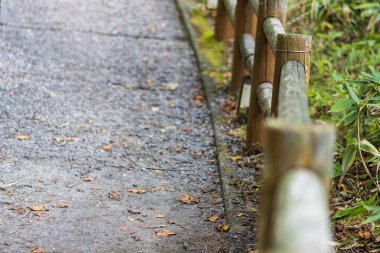 alan, yürüyüş yolu ve bambu çit.