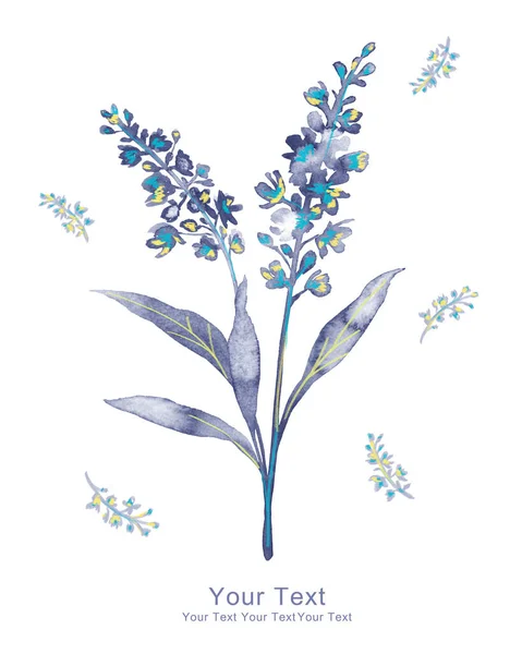 水の色の花がセット 白い背景に孤立した手描きの花の要素 幻想的な花 葉や枝のコレクション — ストック写真