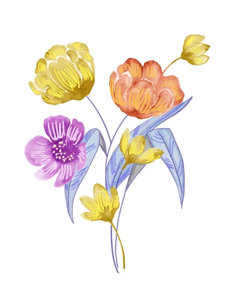 Σετ Λουλουδιών Ακουαρέλας Χειροποίητα Φυτικά Στοιχεία Που Απομονώνονται Λευκό Φόντο — Φωτογραφία Αρχείου