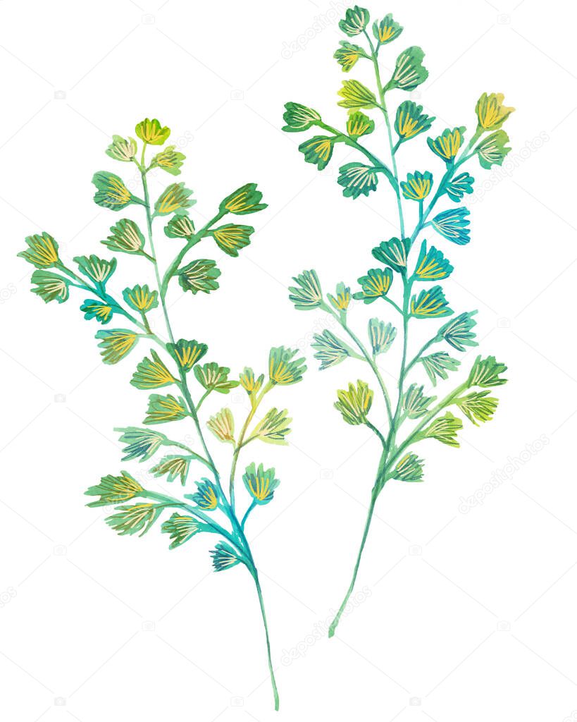 Watercolor flowers set. Hand drawn floral elements isolated on white background. Fantasy flowers, leaves and branch collection.