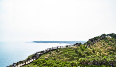 Jeju Adası'nın deniz manzarası