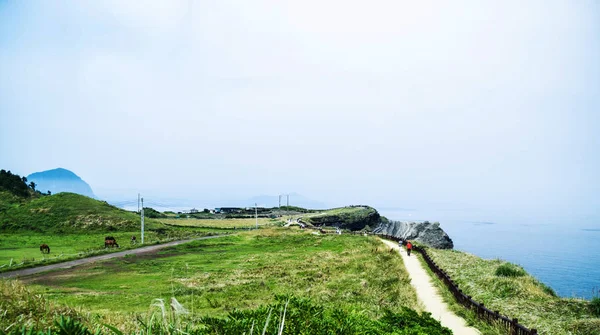 Jeju Adası'nın deniz manzarası