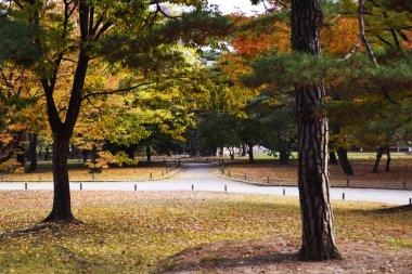sonbahar park lezzeti