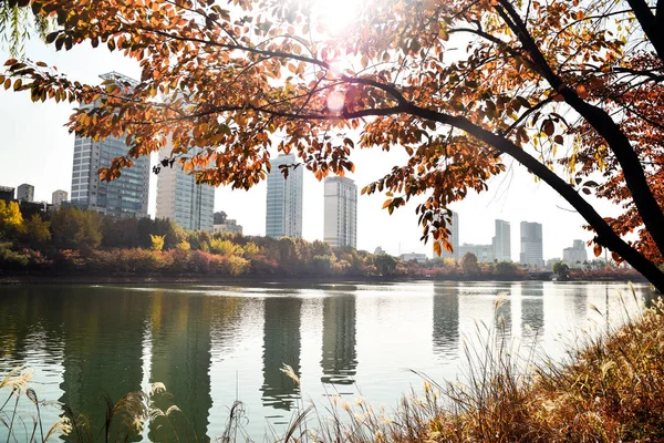 Queda Parque Lago — Fotografia de Stock