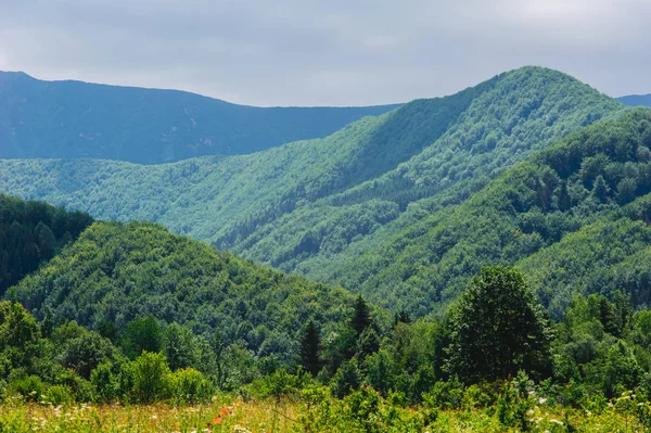 Gebirge Den Europäischen Karpaten — Stockfoto