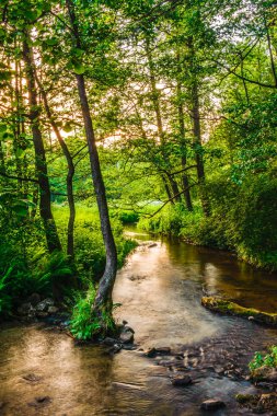 batan güneşin ışığında Nehri