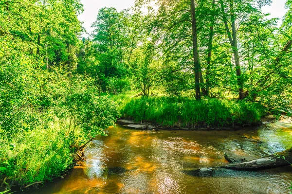 Picturesque river bend flooded with light