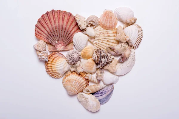 Many variety of seashells in the shape of a heart isolated on a white background. Minimal styled Valentines Day. Copy space, top view, close-up, flatlay