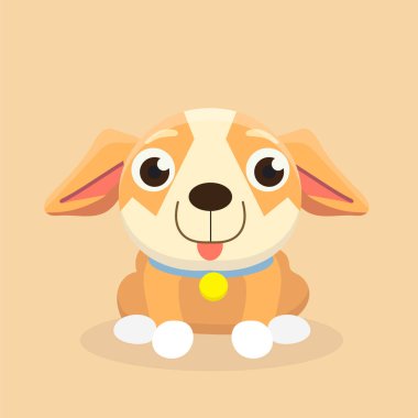 Chihuahua köpek pastel arka plan üzerinde.