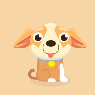 Chihuahua köpek pastel arka plan üzerinde.
