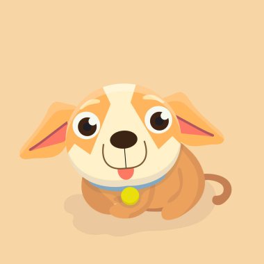 Chihuahua köpek pastel arka plan üzerinde.