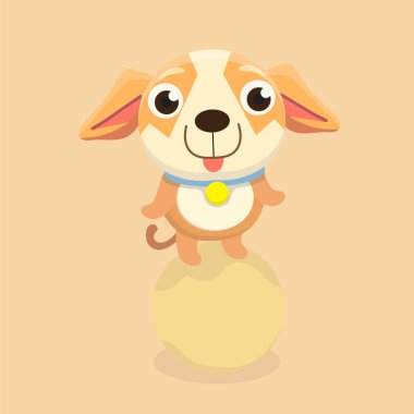 Chihuahua köpek pastel arka plan üzerinde.