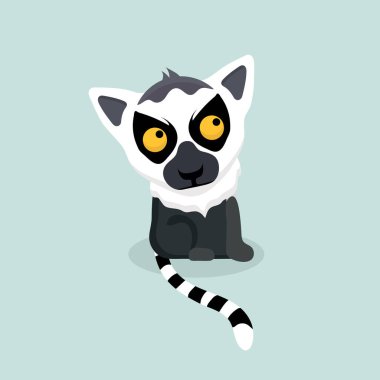 Sevimli çizgi halka kuyruklu maki.