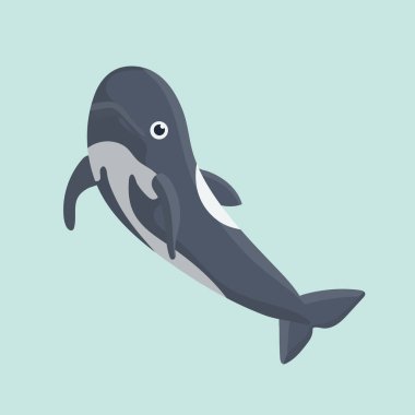 Pastel zemin üzerine komik bir yunus vektör çizim.