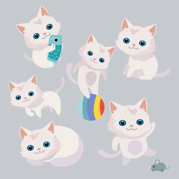 Kediler farklı pozisyonlarda kümesi.