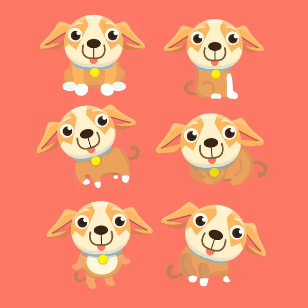 Lindo Conjunto Chihuahua Diferentes Poses — Vector de stock