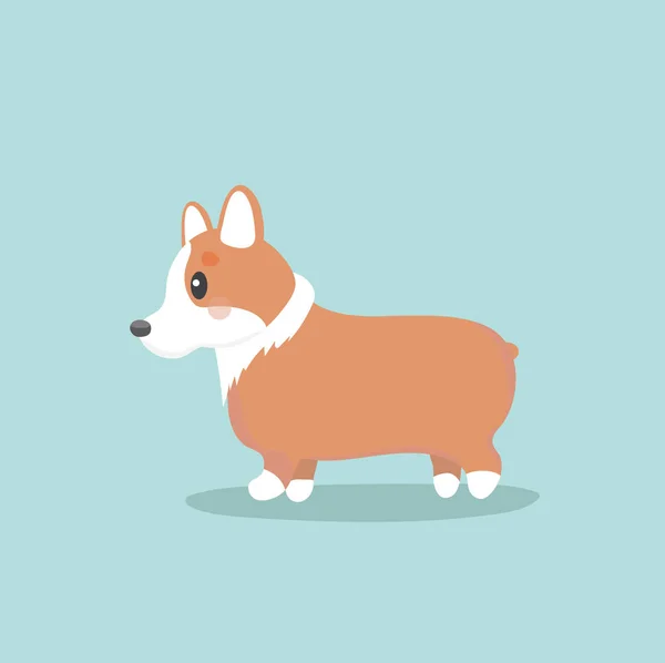 Cute Welsh Corgi Dog Vector Illustration — Stock Vector
