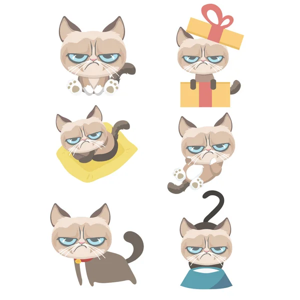 Funny Vector Set Grumpy Cat — Stock Vector