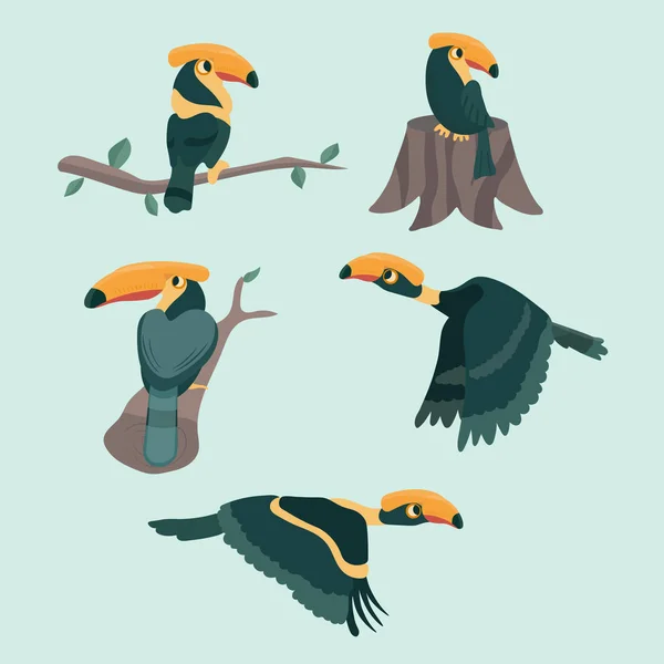 Ilustracja Wektorowa Kreskówka Zestaw Hornbill Ptak — Wektor stockowy