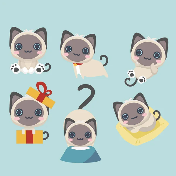 Διάνυσμα Συλλογή Από Διαφορετικές Σιαμαίοι Γάτες — Διανυσματικό Αρχείο