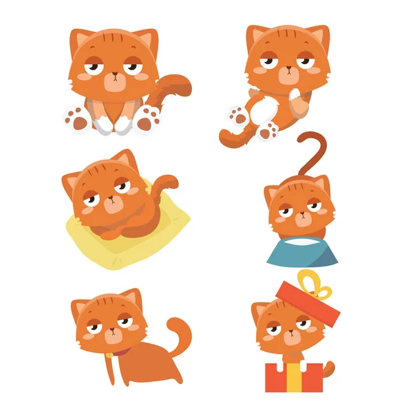 Set Verschiedener Cartoon Katzen — Stockvektor