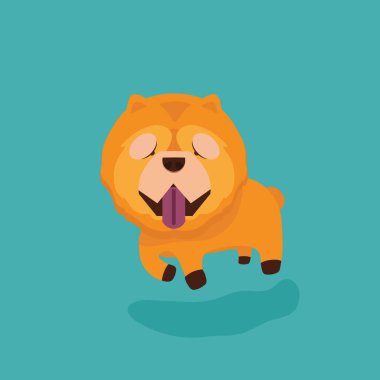 Köpek chow chow vektör çizimi.