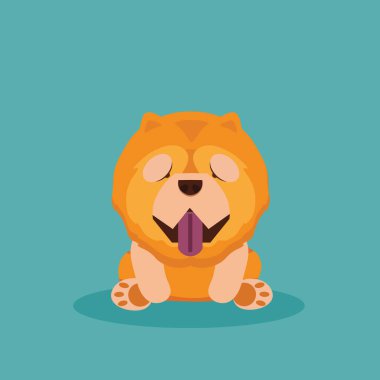 Köpek chow chow vektör çizimi.