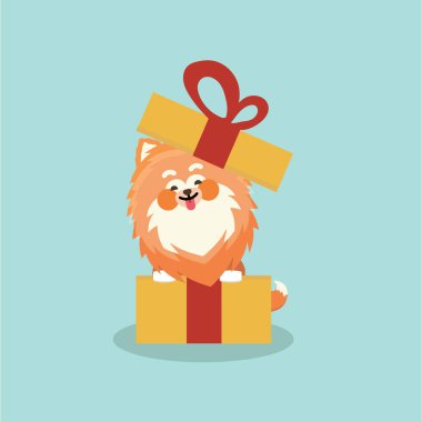 Şirin Pomeranya salyası. Düz vektör çizimi geçmişteki izole