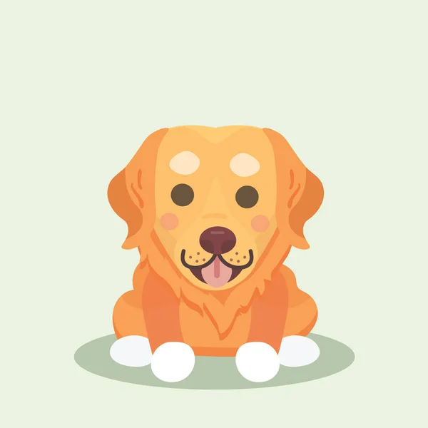 Golden retriever vector on pastel background. — Stock Vector