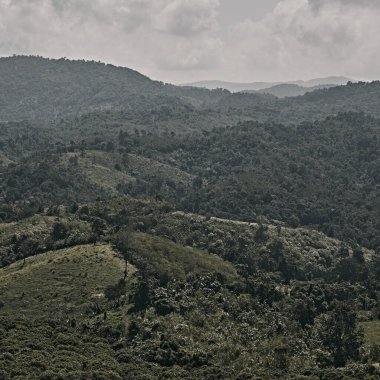 Kuzey Tayland 'ın dağ manzarası