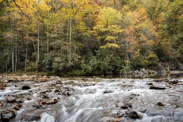 西部のノースカロライナの渓流 — ストック写真