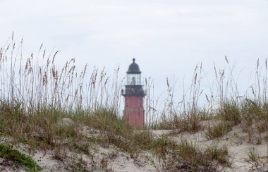 Ponce feneri Florida