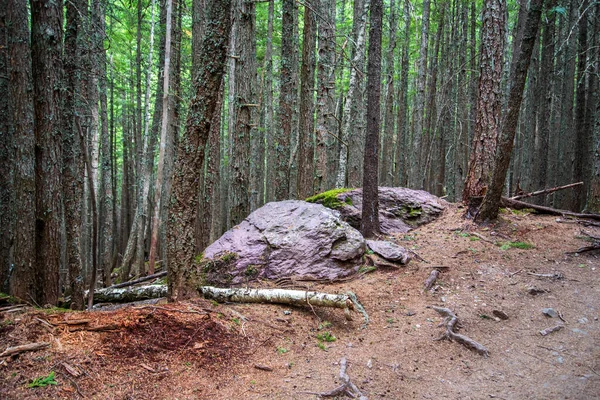 Purple Rock Trail Glacier National Park — Stock Photo, Image