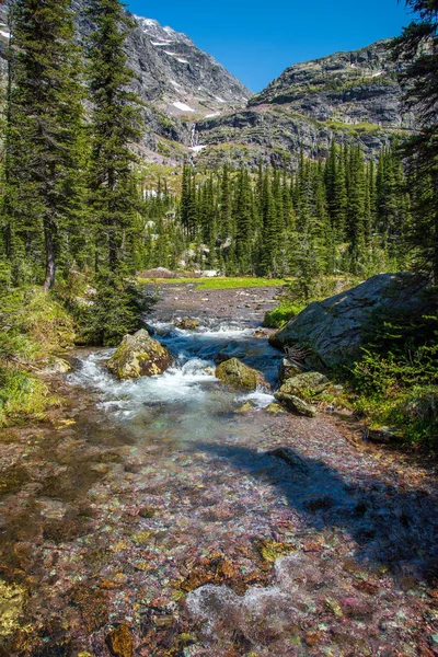 Bergbeekje Nationaal Park Glacier — Stockfoto