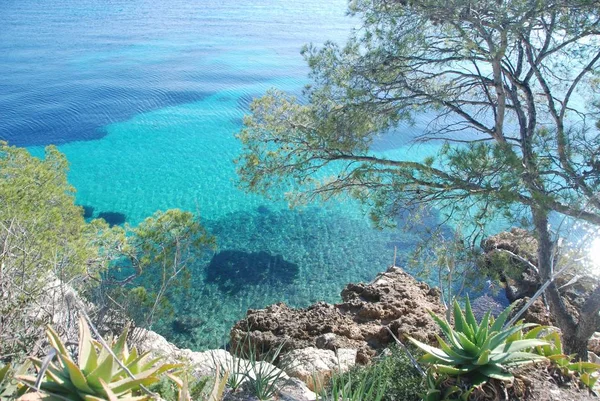 İnanılmaz berrak su Malta Adası.